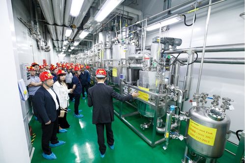 連續(xù)賦能，技術(shù)變現(xiàn) 連續(xù)流技術(shù)推廣現(xiàn)場會(huì)在敦化成功召開